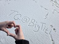 фото в лесу