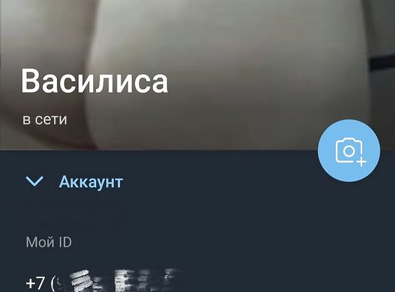 мой телеграмм